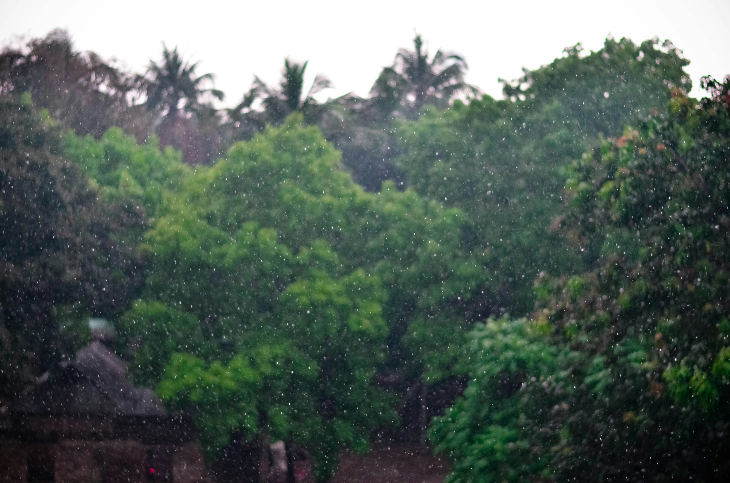 Hyderabad Monsoon Driving Tips to Stay Safe on Wet Roads
