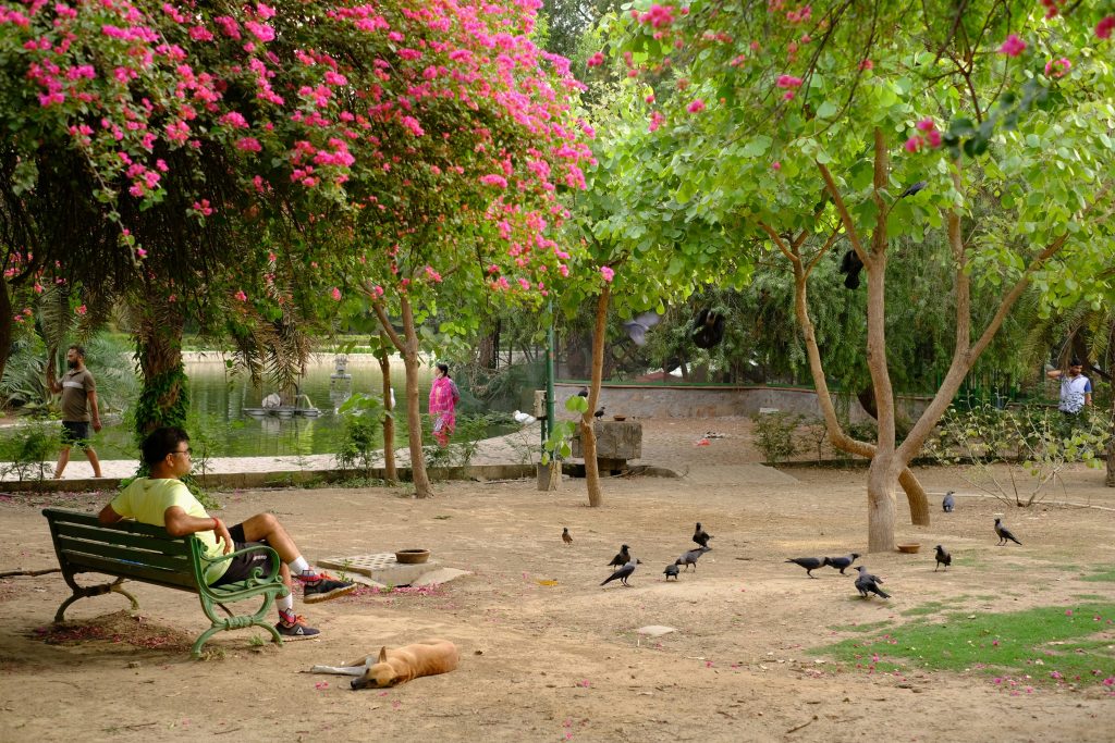 Morning drive to KBR Park Hyderabad using YO Drives car from Kukatpally